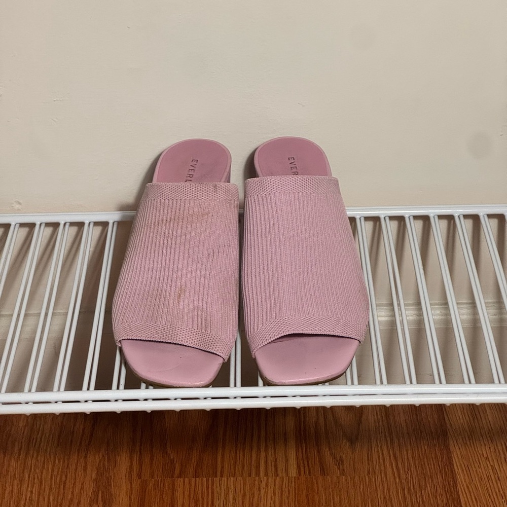 Everlane Women's Blush Pink Mules
